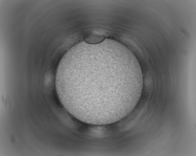 X0000113250079200910081327