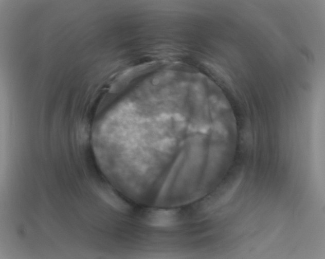 X0000113250081200910081327