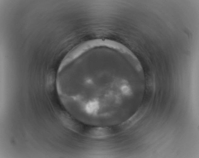 X0000113250082200910081327