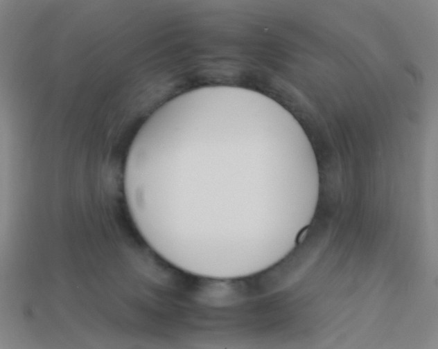 X0000113250083200910081327