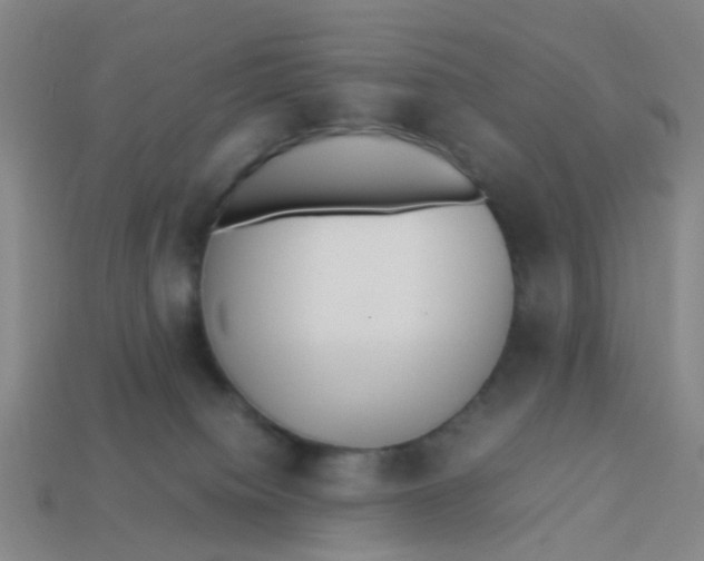 X0000113250084200910081328