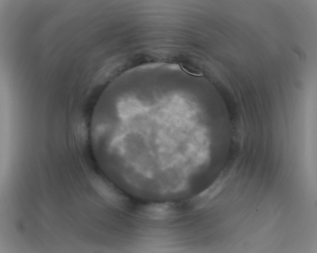 X0000113250086200910081328