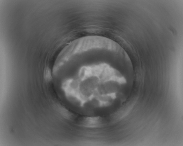 X0000113250089200910081328