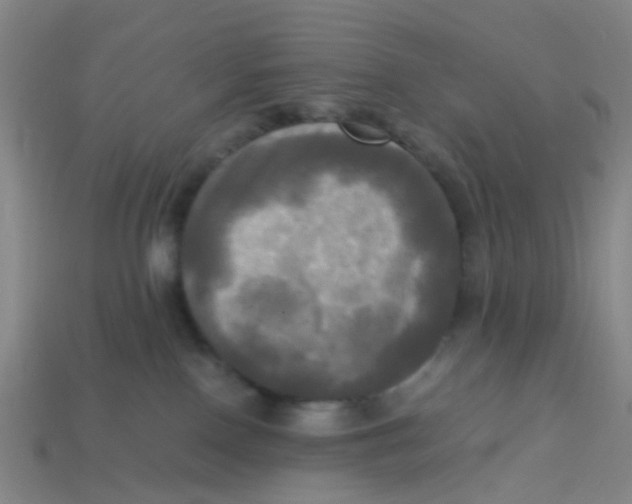 X0000113250090200910081328