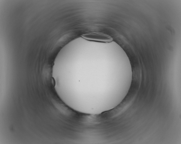 X0000113250092200910081328