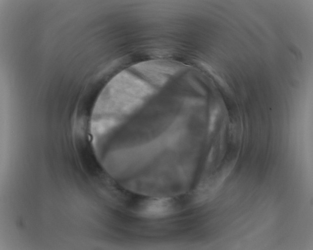 X0000113250093200910081328