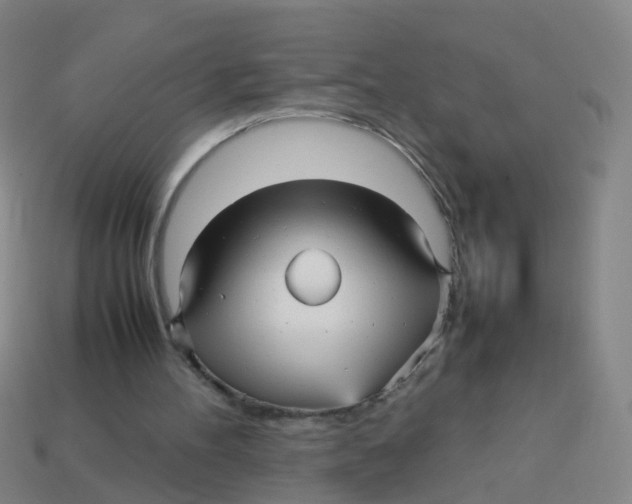 X0000113250100200910081327