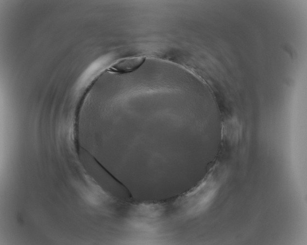 X0000113250101200910081327