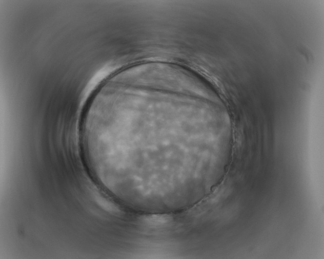 X0000113250102200910081327