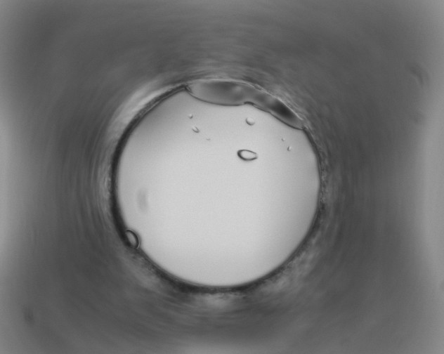 X0000113250103200910081327