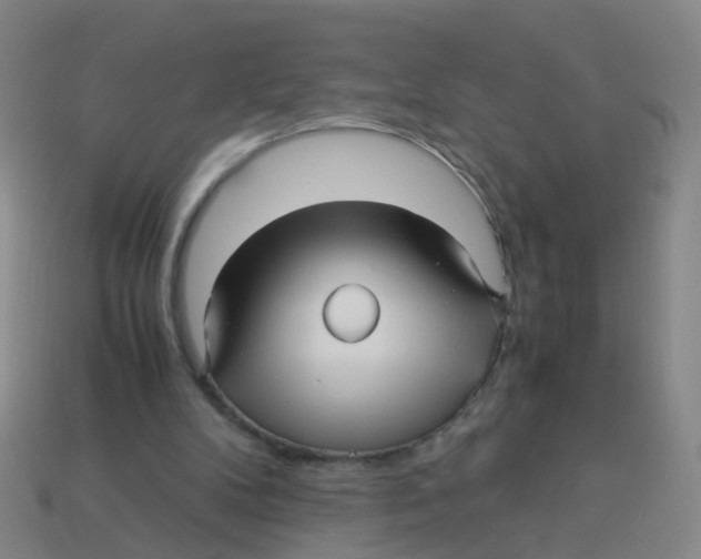 X0000113250104200910081327