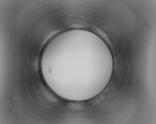 X0000113250106200910081327