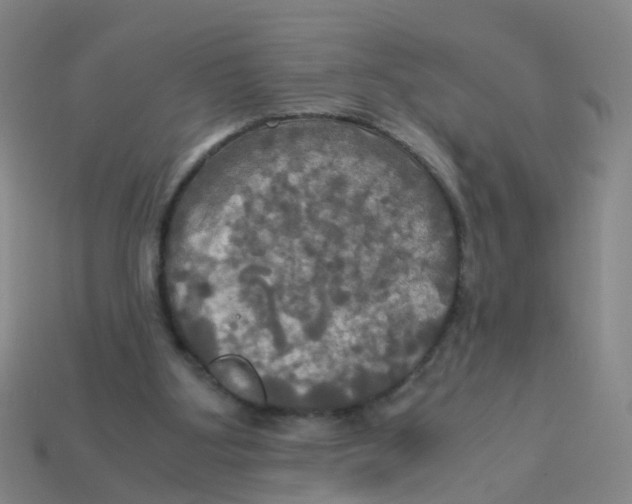 X0000113250107200910081327