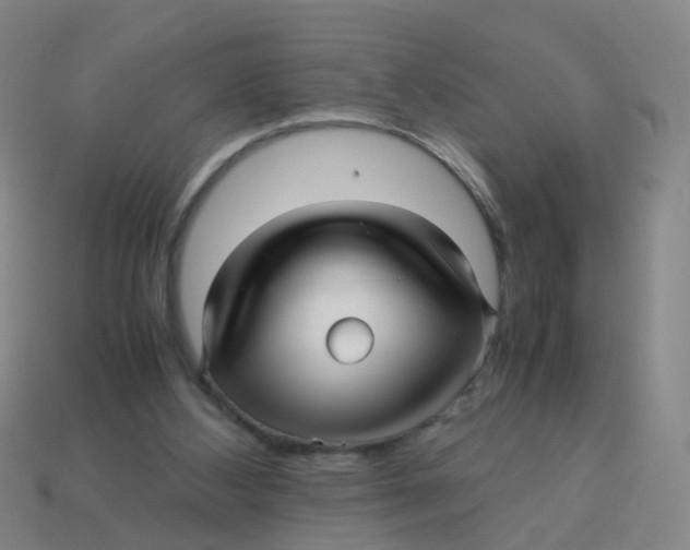 X0000113250108200910081327