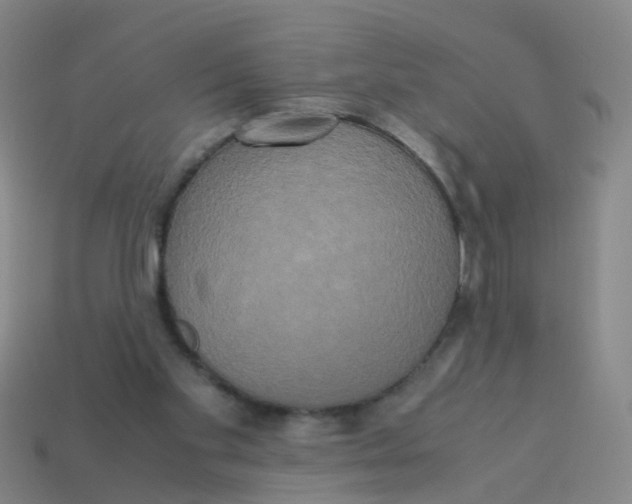 X0000113250109200910081327