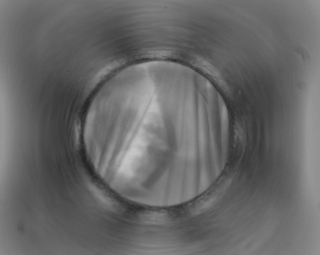 X0000113250110200910081327