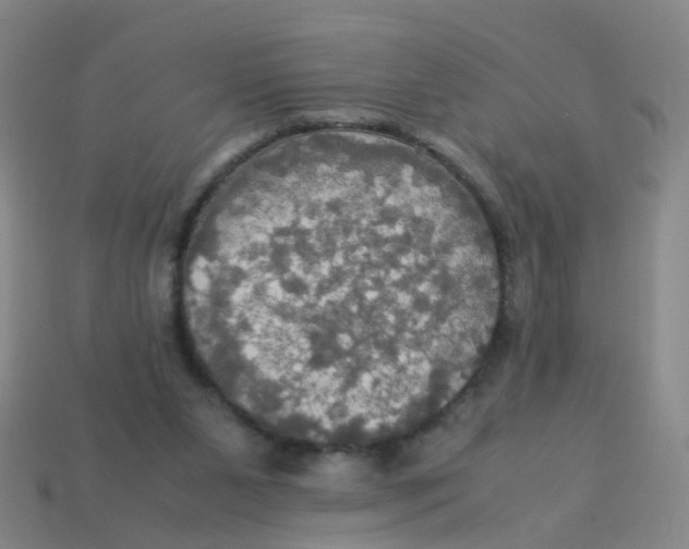 X0000113250111200910081327