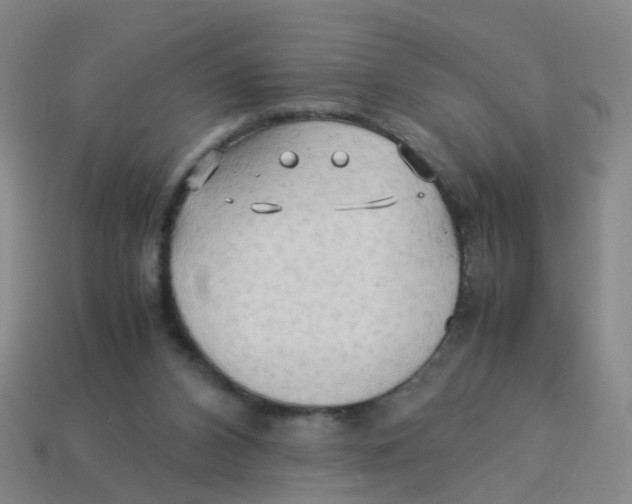 X0000113250112200910081327