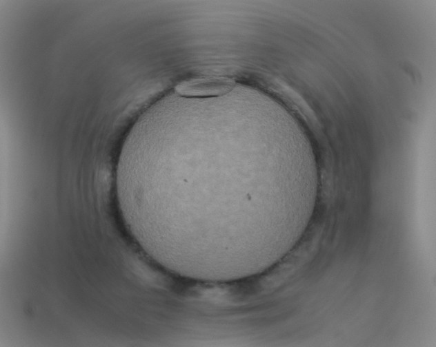 X0000113250113200910081327