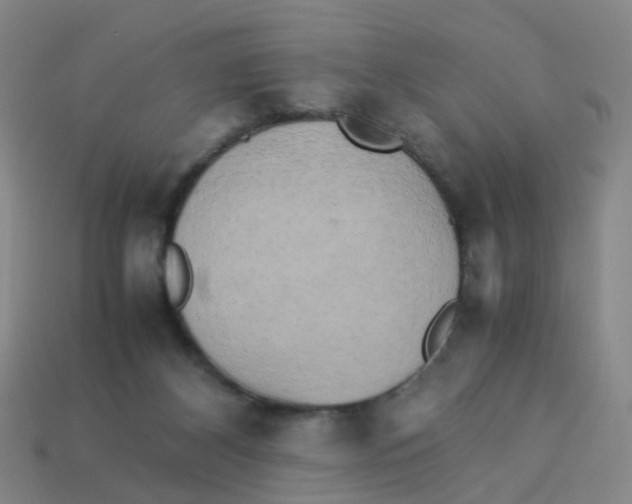 X0000113250116200910081327