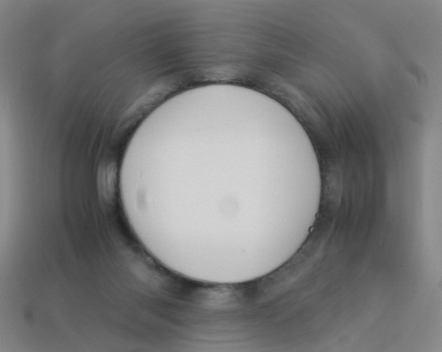 X0000113250118200910081327