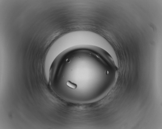 X0000113250120200910081327