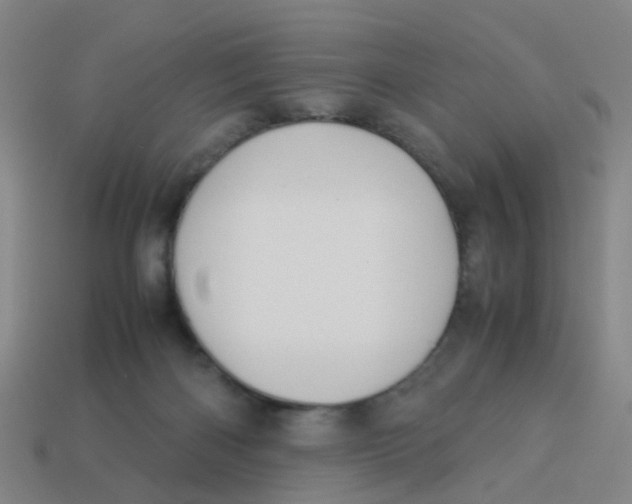 X0000113250122200910081327