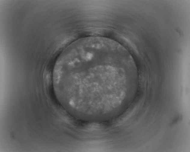 X0000113250123200910081327