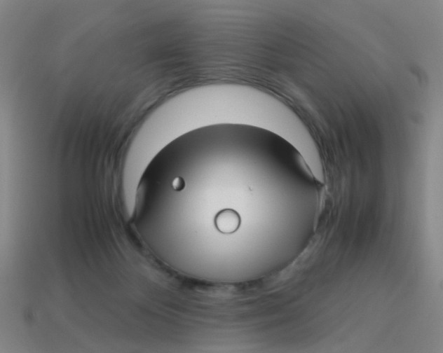 X0000113250124200910081327