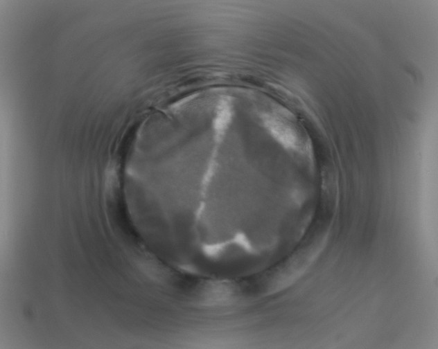 X0000113250127200910081327