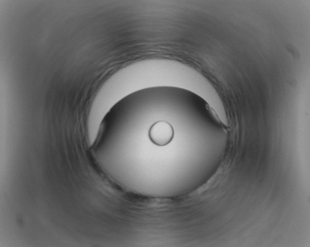 X0000113250128200910081327