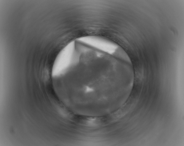 X0000113250130200910081327