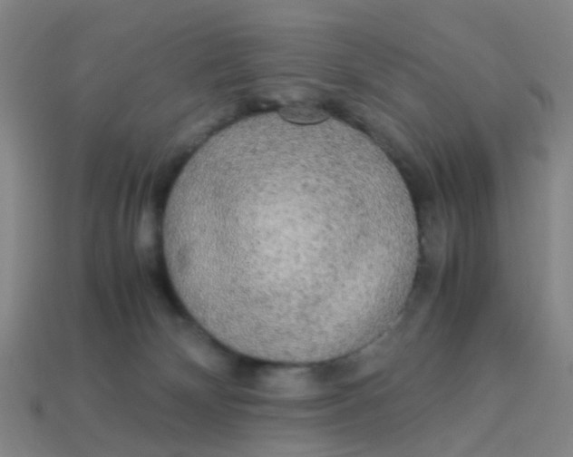 X0000113250132200910081327