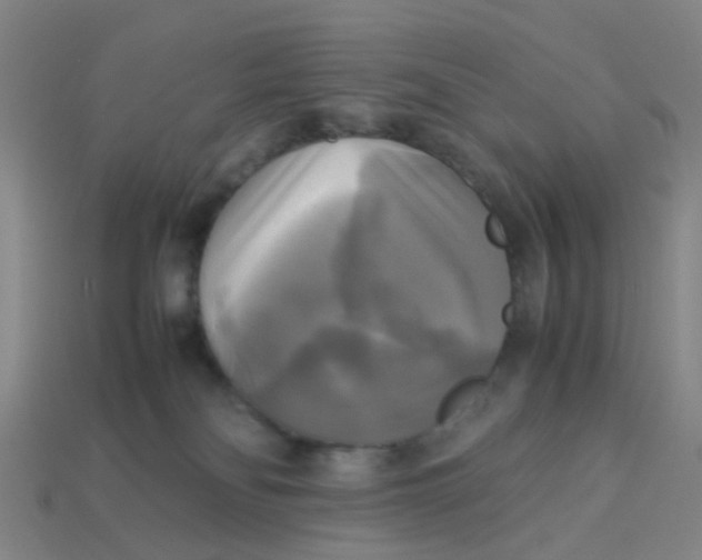 X0000113250134200910081327