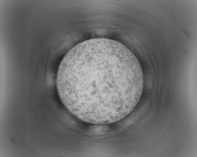 X0000113250135200910081327