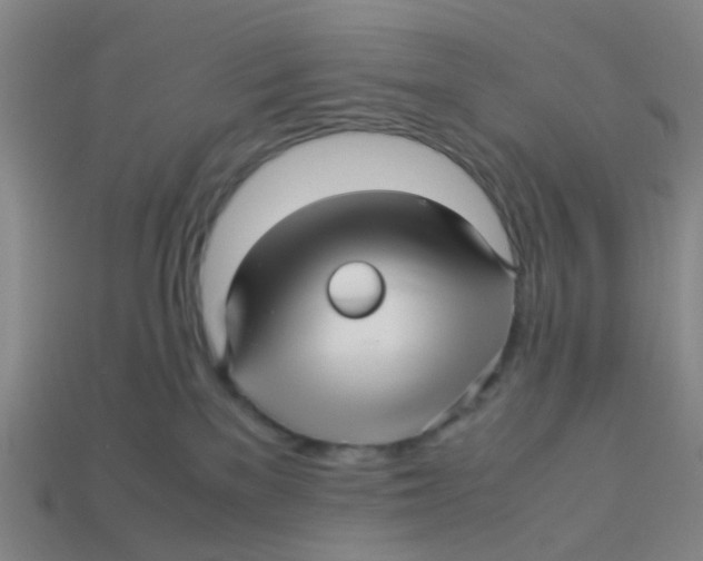 X0000113250137200910081327