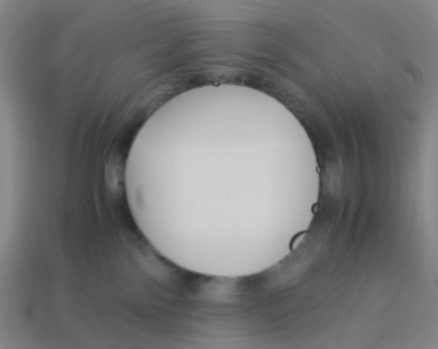 X0000113250138200910081327