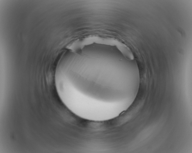 X0000113250139200910081327