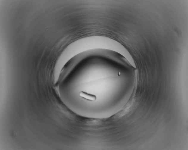 X0000113250140200910081326