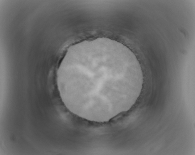 X0000113250144200910081326