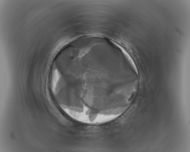 X0000113250145200910081326