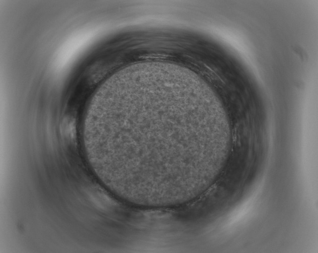 X0000113250146200910081326