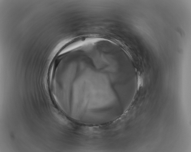 X0000113250147200910081326