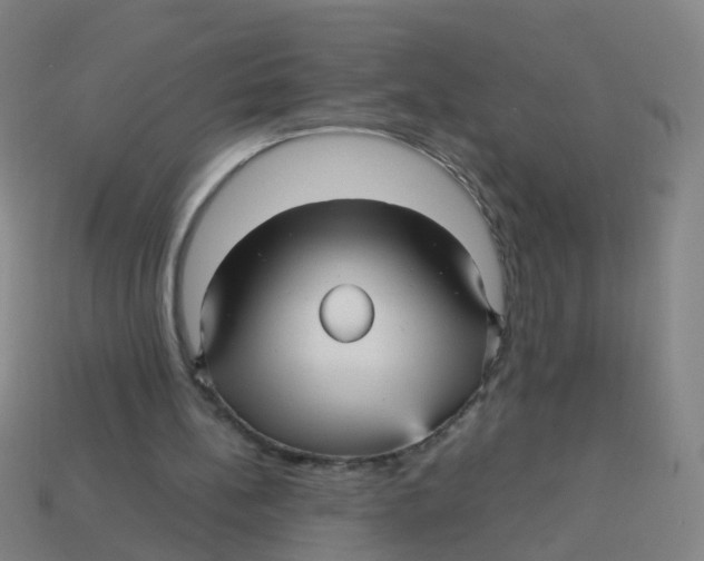 X0000113250148200910081326