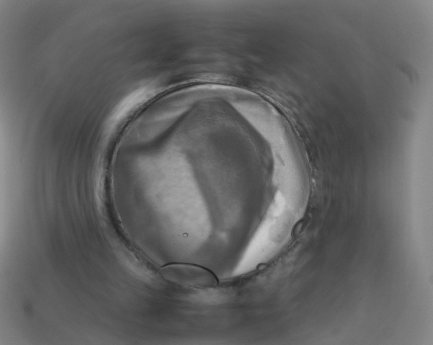 X0000113250149200910081326