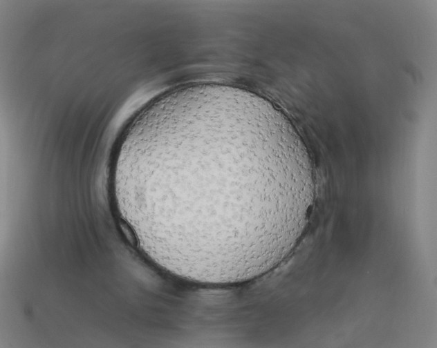 X0000113250150200910081326