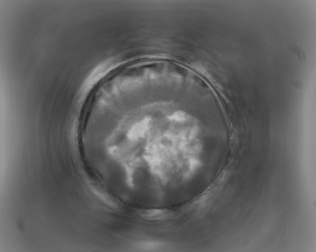 X0000113250151200910081326