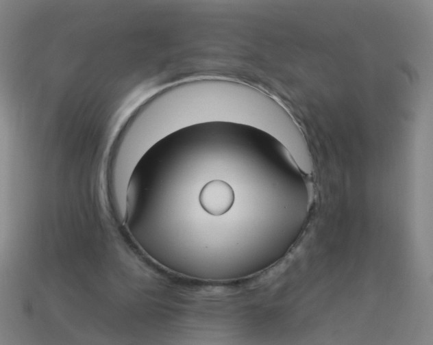 X0000113250152200910081326