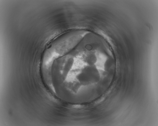 X0000113250153200910081326