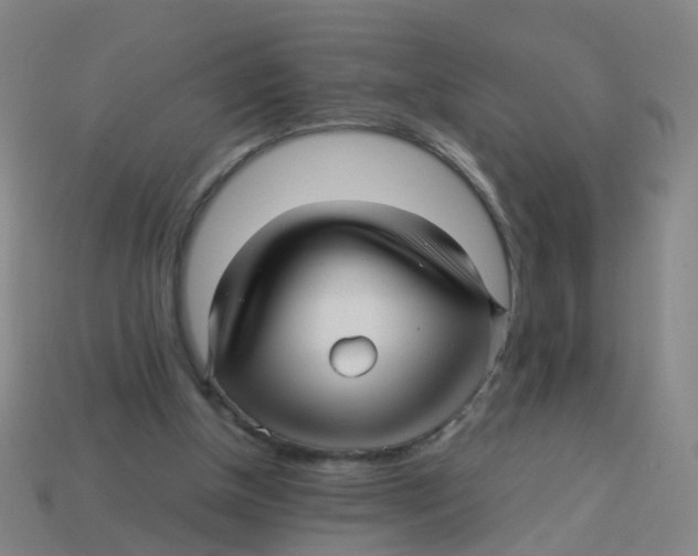 X0000113250154200910081326